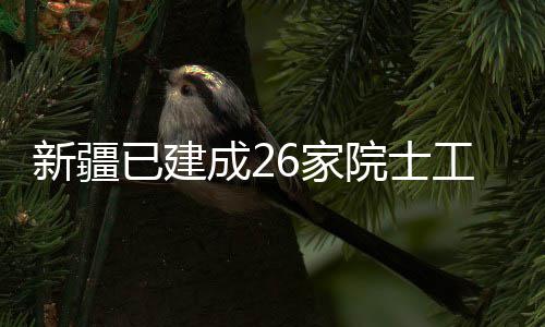 站已建院士新疆6家工作成2