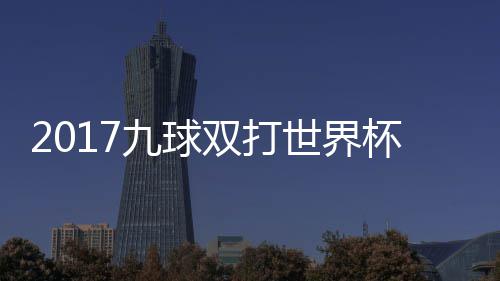 杯录比赛美国之一像 九球芬兰双打世界四分视频